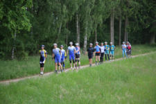 Wendland 008 20160529   