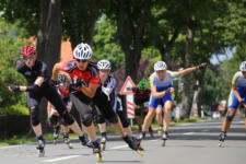 Beebo HM-L 263 20170617