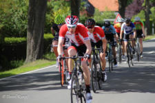 Beebo Rad 016 20170617