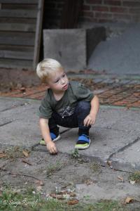 Grillen 015 2018-09-02