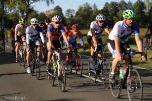 Beebo Rad 037 2019-09-14