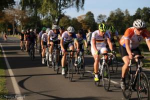 Beebo Rad 050 2019-09-14