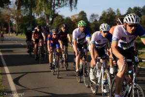 Beebo Rad 052 2019-09-14