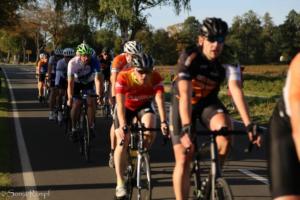 Beebo Rad 079 2019-09-14