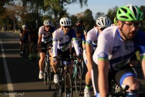 Beebo Rad 081 2019-09-14