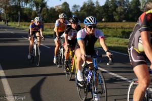 Beebo Rad 085 2019-09-14