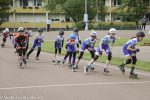 Halle-026 2026-05-16