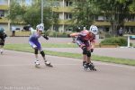 Halle-036 2026-05-16