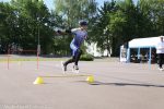 Halle-066 2026-05-17
