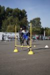 Rethem 0019 2026-09-27
